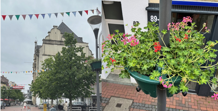 Hildens Innenstadt: Blütenblatt hat sich gewendet