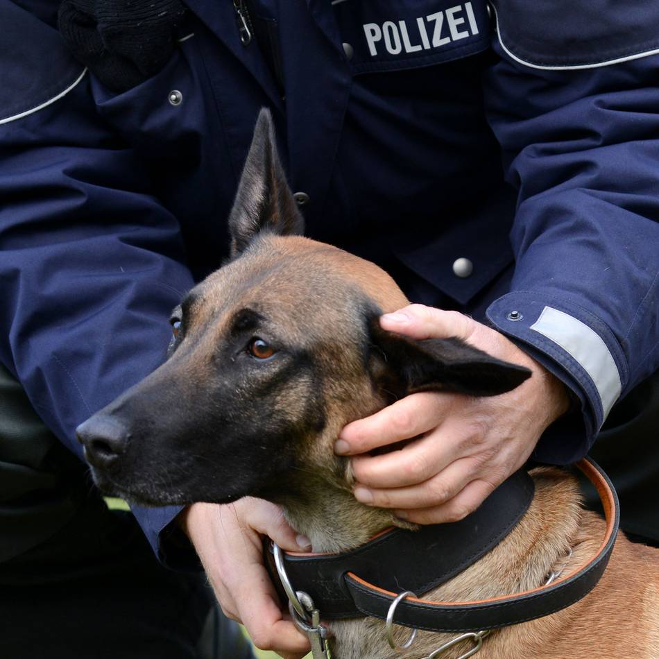 Bachelor-Studiengang bei der Polizei: Einsatz oder Ermittlung? Studium mit Auswahl