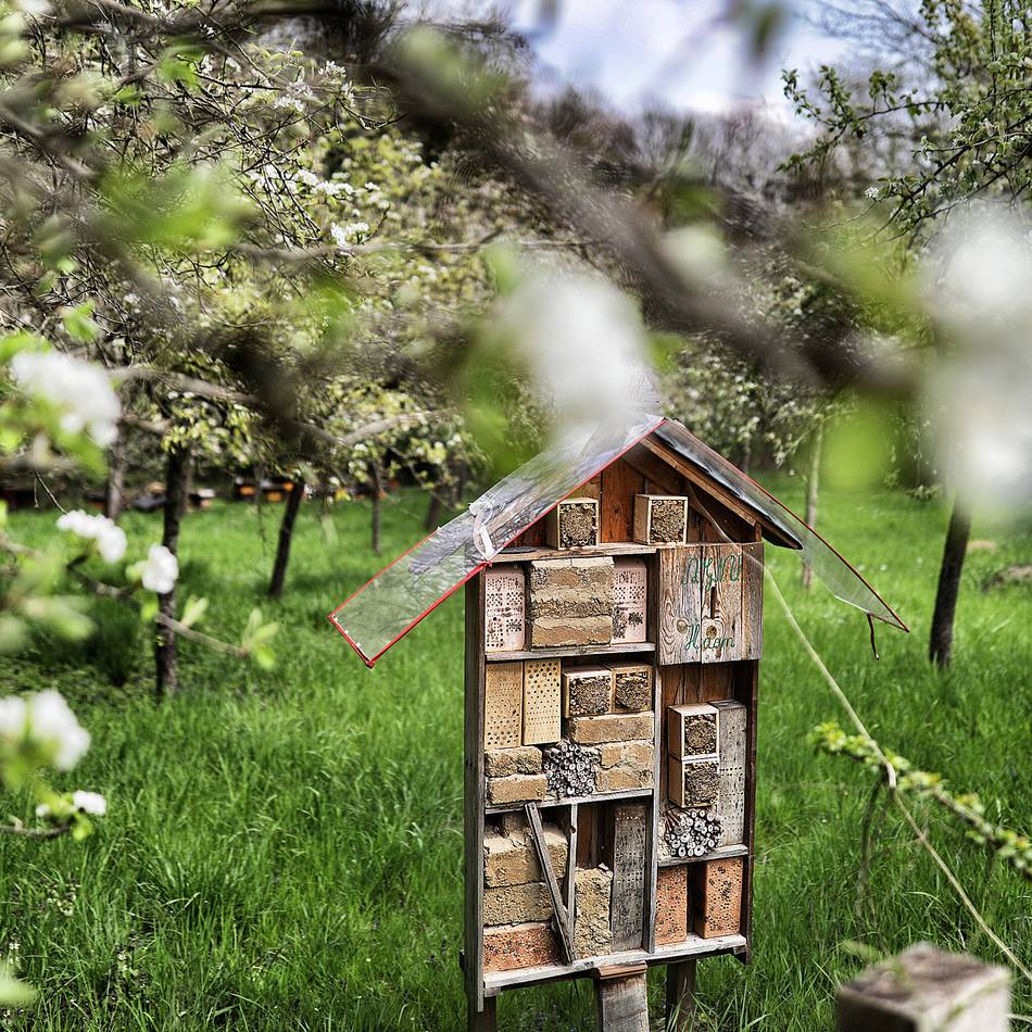 Aktion in Hilden: Naturschützer machen Inventur auf Streuobstwiese