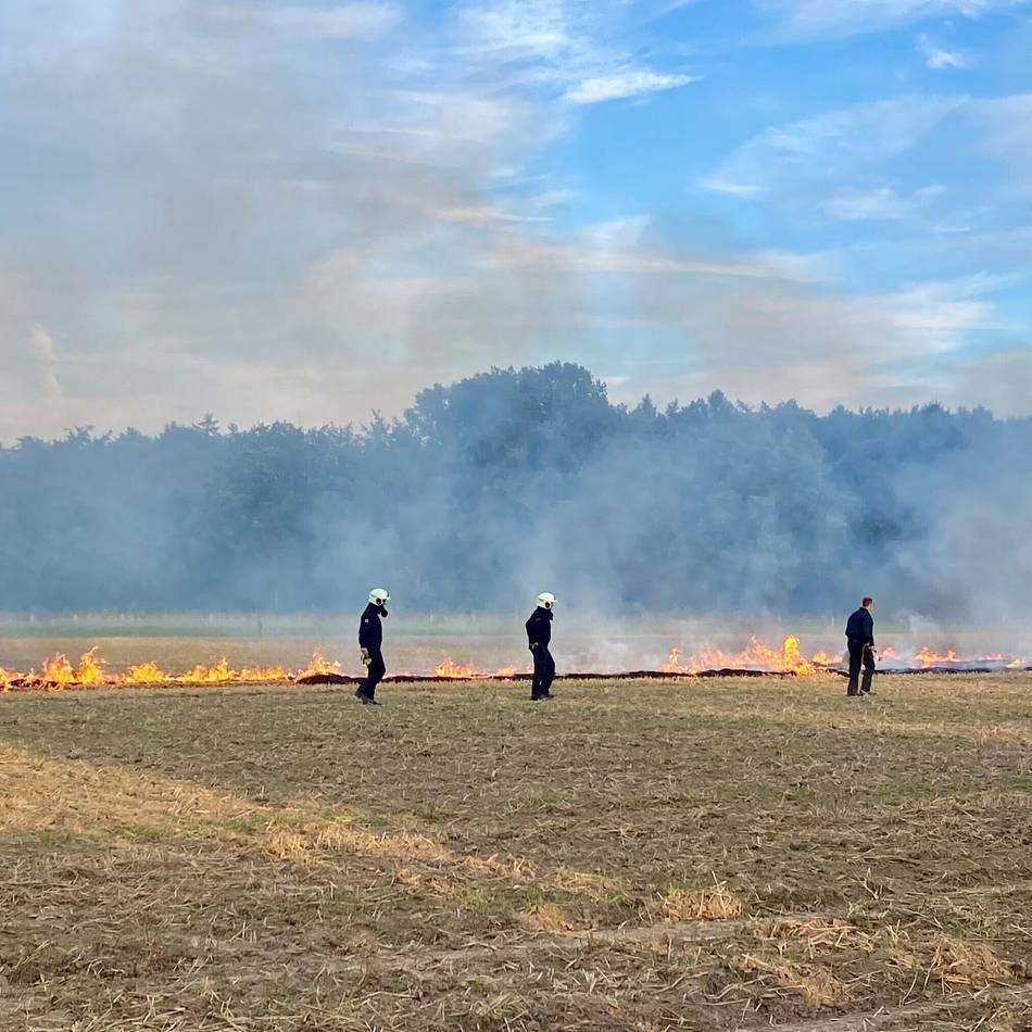 Feuerwehr Hilden trainiert Vegetationsbrand auf echtem Feld: Wenn der Wald brennt, ist die Feuerwehr besonders gefordert