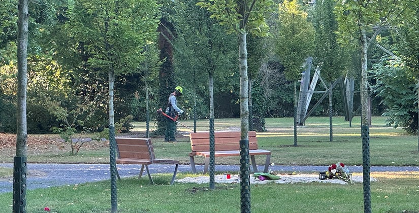 Hat Hilden zu wenig oder zu viele Gärtner?