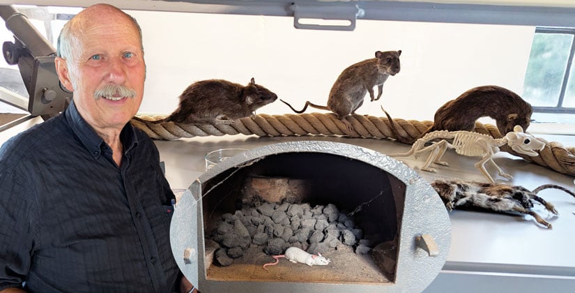 Ausstellung: Wie Mäuse und Ratten zum Krankheitserreger und Kulturgut wurden