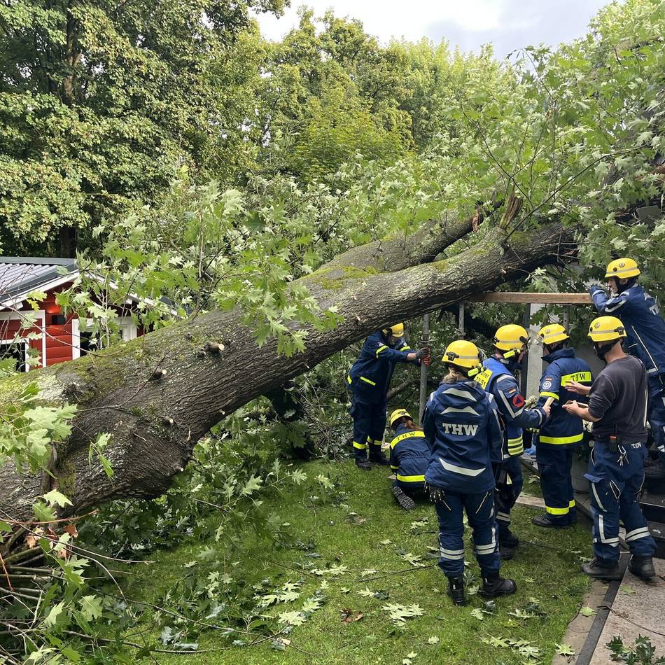 Aufwendiger Einsatz für die Feuerwehr Haan und das THW: Stattliche Eiche stürzt auf Einfamilienhaus