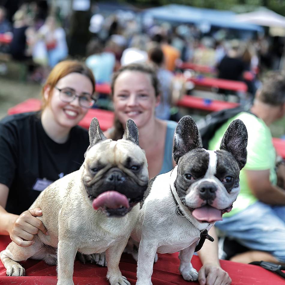 Tierheim feiert: Sommerfest mit Zaubershow und Tombola