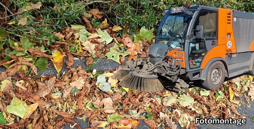 Kehraus im Herbst: So wird Laub korrekt entsorgt