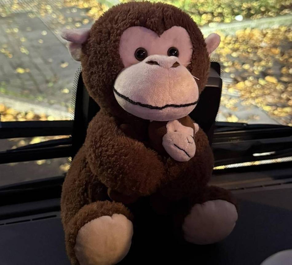 Rheinbahn-Busfahrerin rettet kleinen Plüschaffen: „Ich weiß, wie traurig Kinder sind, wenn sie ihr Kuscheltier verlieren“