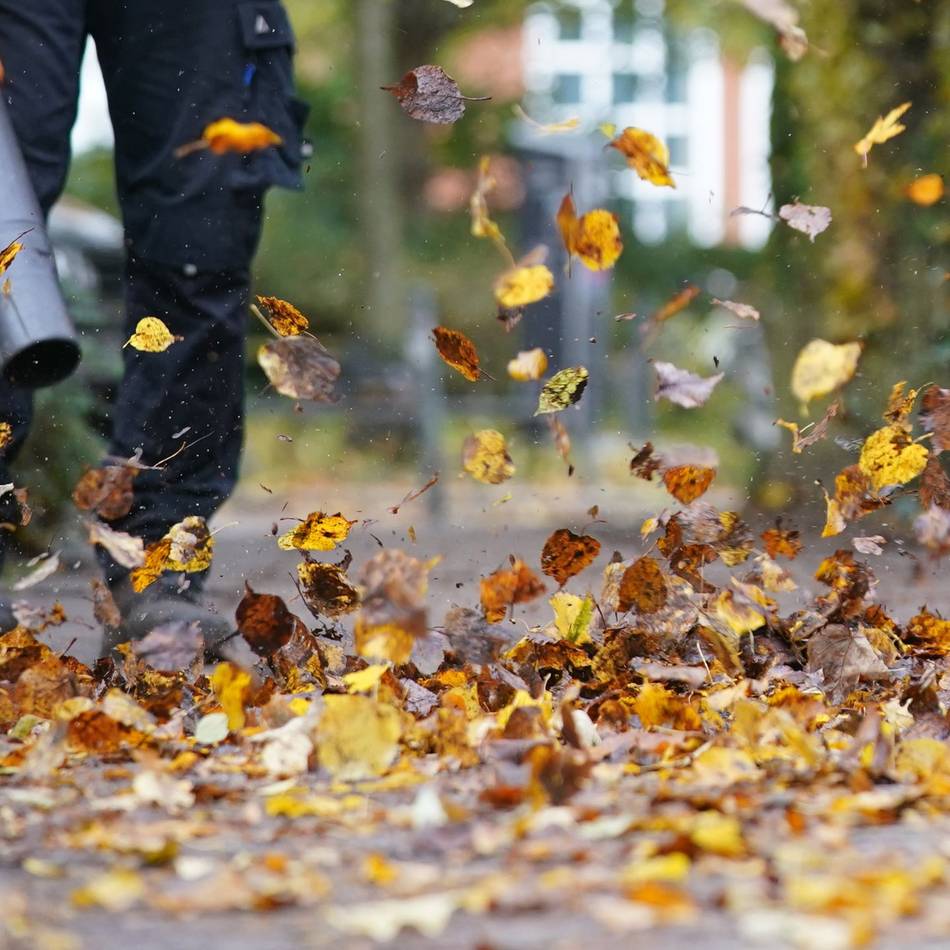 Bauhof in Hilden: So wird Herbstlaub richtig entsorgt