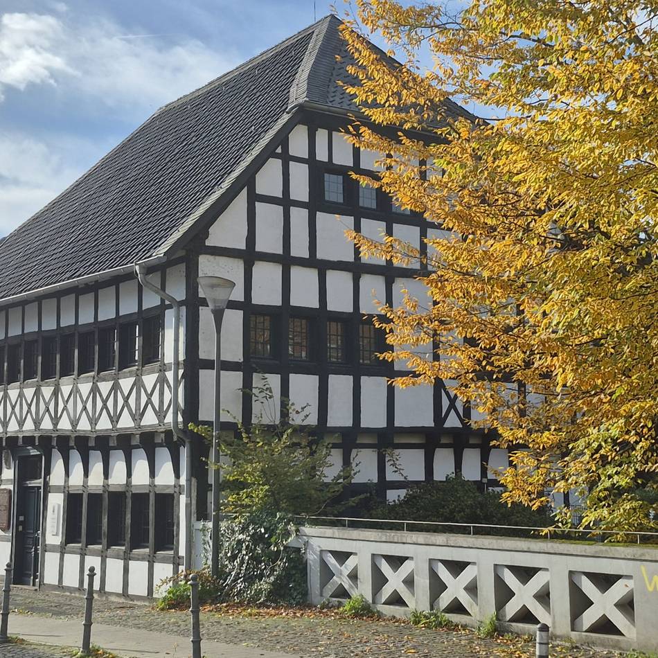 Leseraufruf: Schicken Sie uns Ihre schönsten Herbstfotos